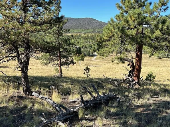 3078 Singletree Road LOT 1355, Hartsel, CO 80449