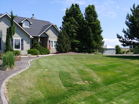 Front yard