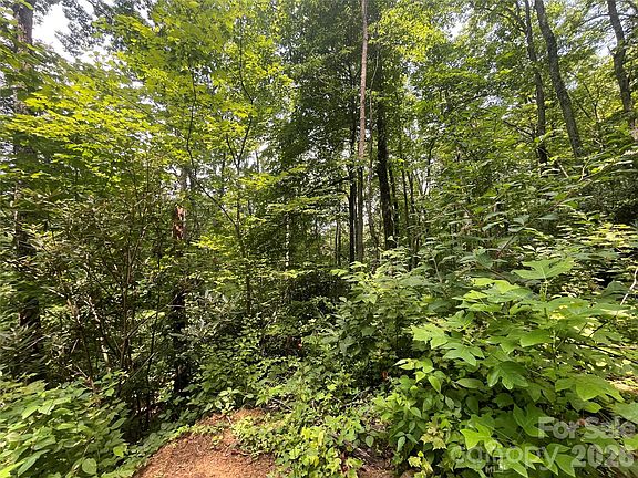 3rd image of 242 Floyd Rd