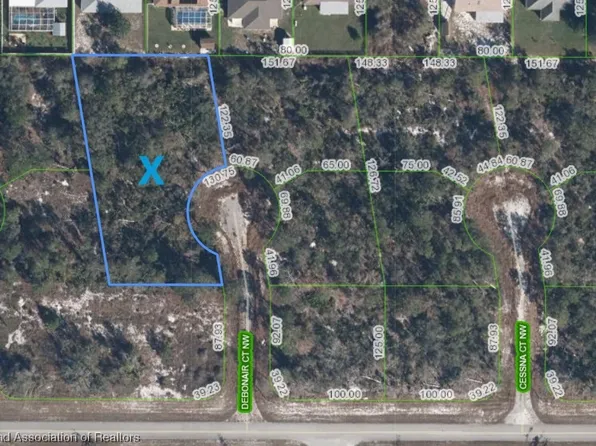 116 Debonair Ct NW, Lake Placid, FL 33852