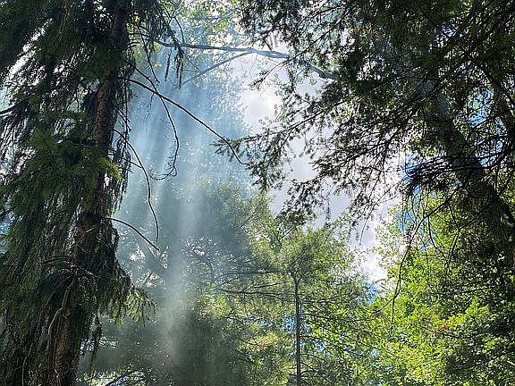 Nature at its best 
