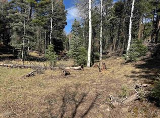 LOT 272 Vail Loop, Angel Fire, NM 87710