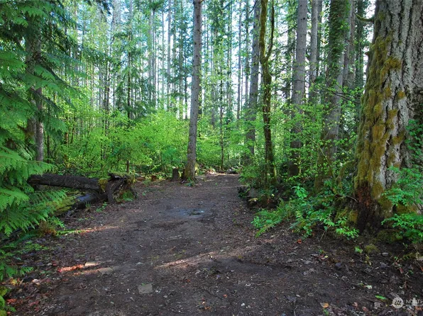 0 NE Old Cascade Highway, Skykomish, WA 98288