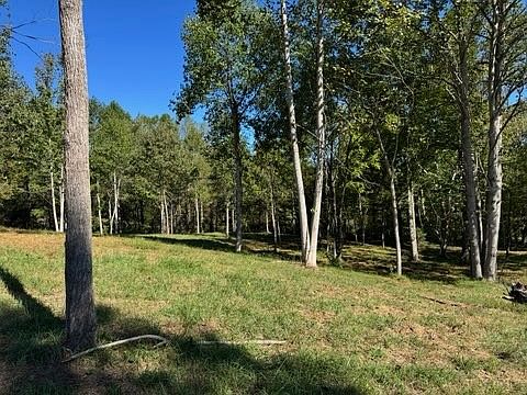 5th image of 0 Bear Creek Rd Lot 1