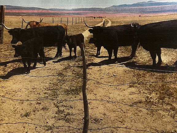 4th image of County Road 4616