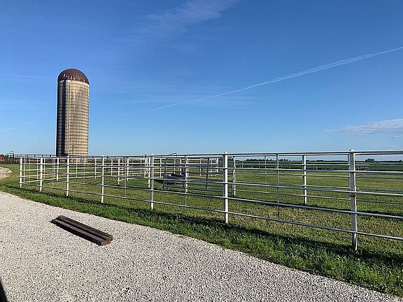 Fenced pastures 