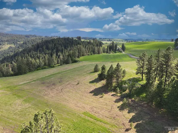 Trenary Rd, Kooskia, ID 83539