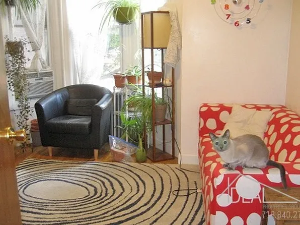 265 12th St, Brooklyn, NY 11215