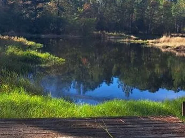 384 Canal Rd, Hortense, GA 31543