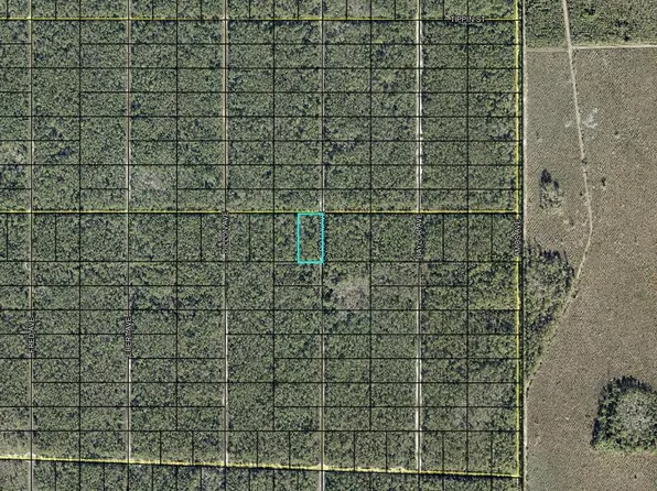 Donna St, Hastings, FL 32145