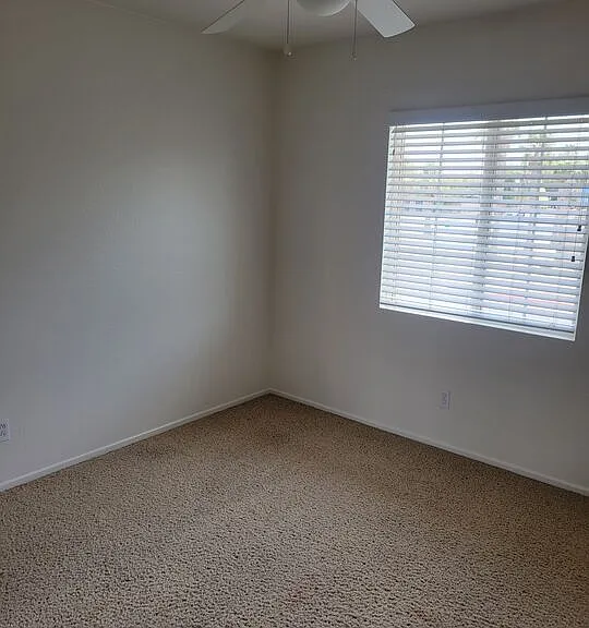 642 W Brewer Rd #155 — Photo 15