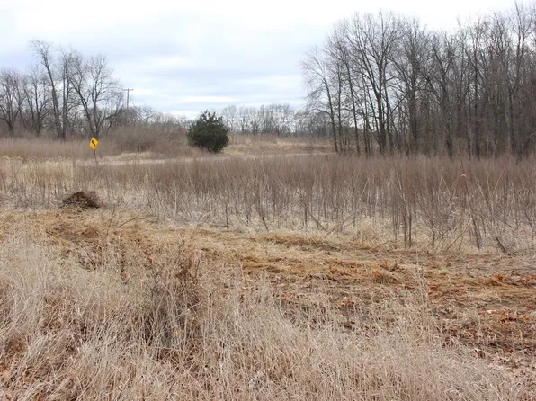 0 Kalmbach Rd, Grass Lake, MI 49240