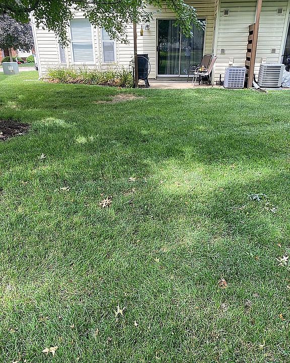 2nd image of 428 Cambridge Pl