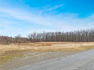 2884 Ireland Rd, Perry, NY 14530