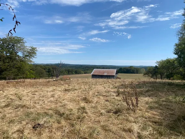 10232 County Road 211-East 76 #10232, Ava, MO 65608