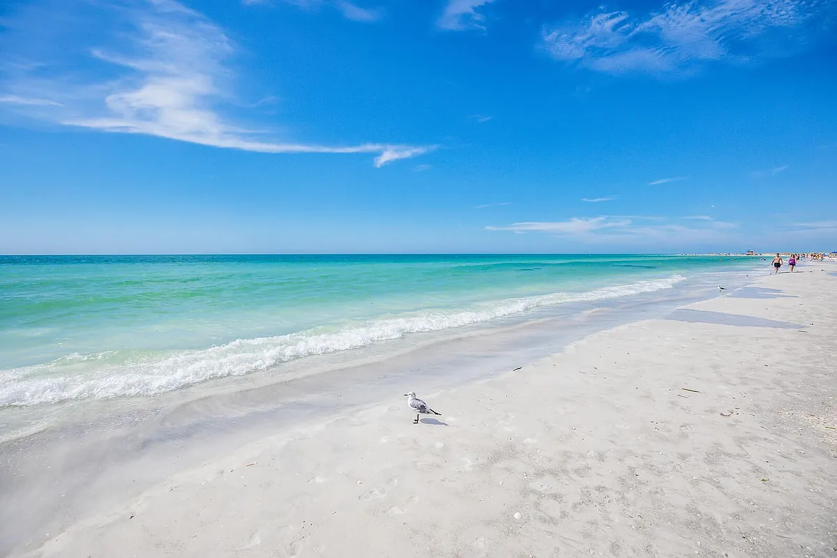 Enjoy a stroll along the beautiful beach just across the street. - 1001 Benjamin Franklin Dr #212