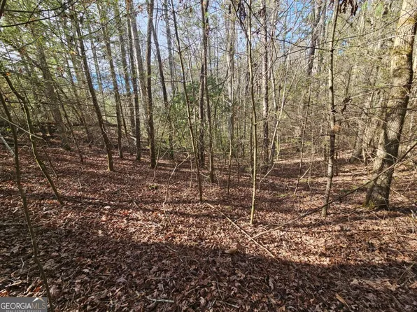 LOT 77 Roaring Forks Ln, Ellijay, GA 30540
