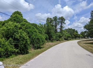 5425 Patricia Pl, Spring Hill, FL 34607