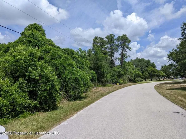 5425 Patricia Pl, Spring Hill, FL 34607