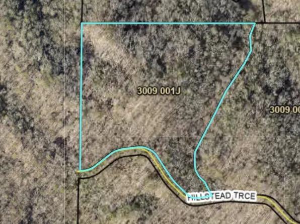 29B Hillstead Trce, Ellijay, GA 30540