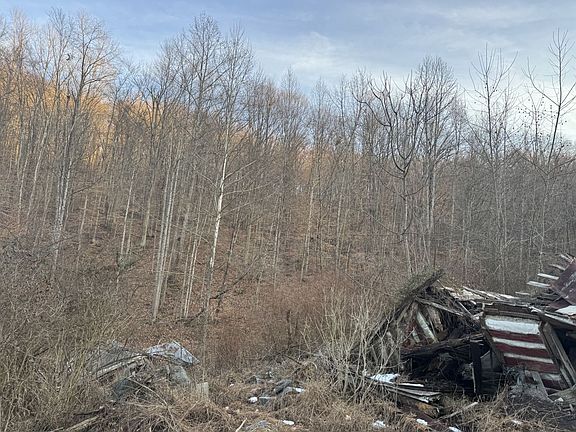 4th image of 911 Shingles Branch Rd