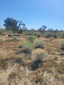 0 Buena Vista Rd #510, Pinon Hills, CA, 92372
