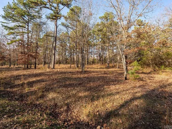 51 Primrose Creek Dr, Heber Springs, AR 72543