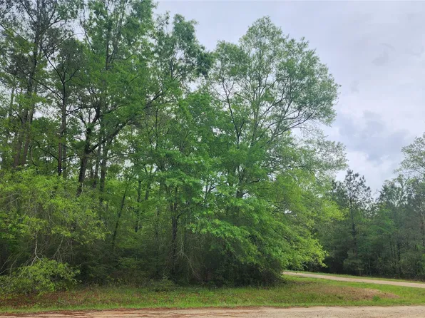 Cloverdale Lot 1, Livingston, TX 77351