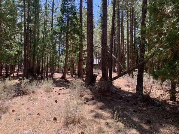 737 Yeargin Dr, Portola, CA 96122