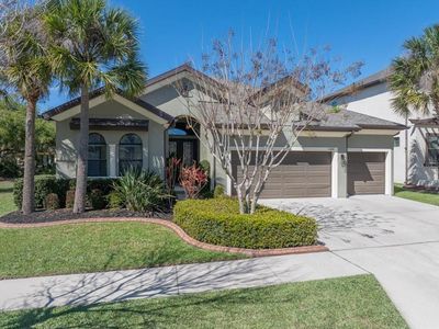 13818 Moonstone Canyon Dr, Riverview, FL, 33579