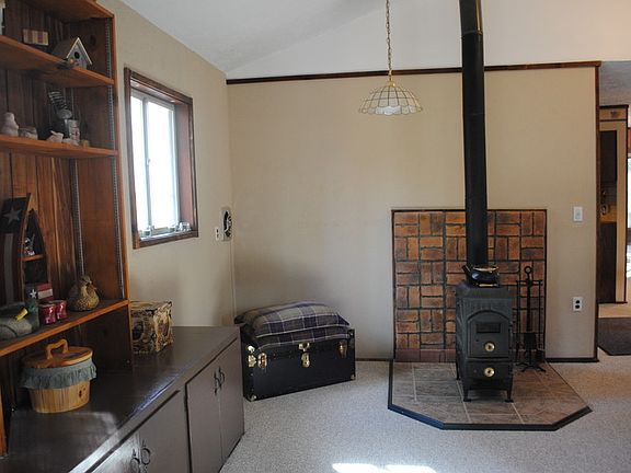 Wood burning fireplace