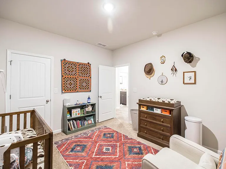 229 Rusty Plow Ln — Photo 20