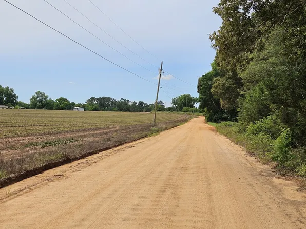 0 Baker Whatley Rd #519, Midland City, AL 36350