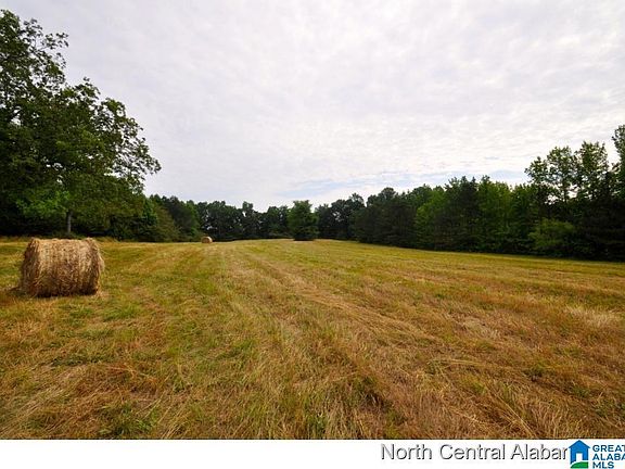 2nd image of 0 County Road 310 #0