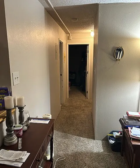 451 Golden Cir — Photo 11