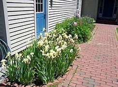 Entrance to house