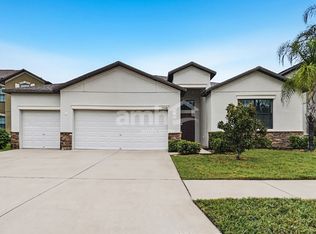 13418 White Sapphire Rd, Riverview, FL 33579