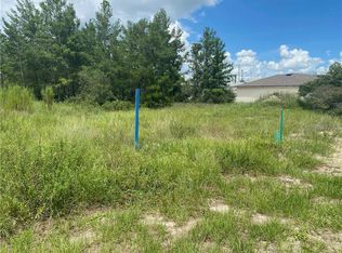 311 Elderberry Ct, Poinciana, FL 34759