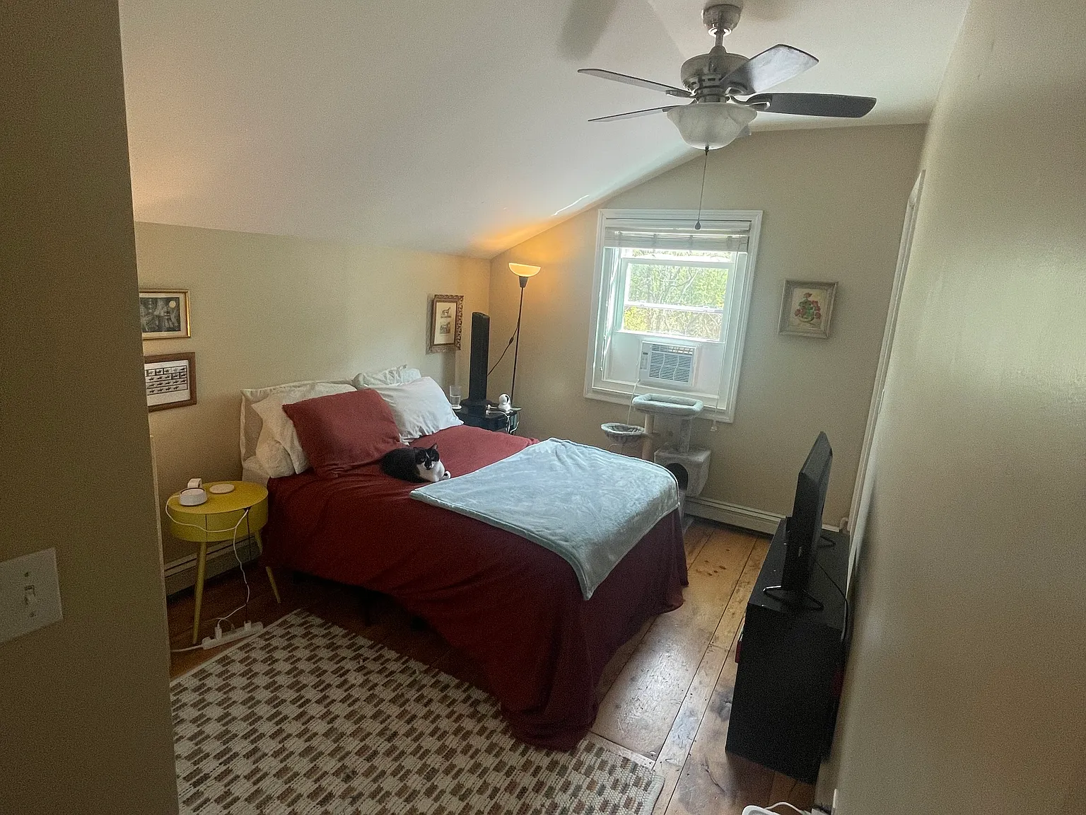 1 bed, 660 sqft, $1,800 — Photo 3