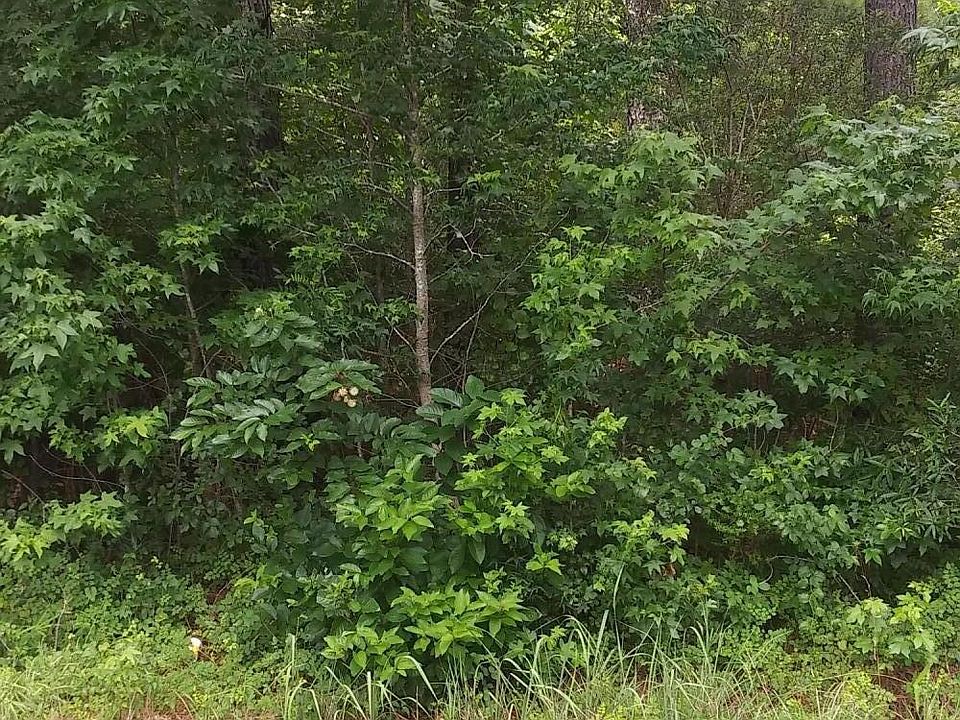 2nd image of 4737 Hutchinson Rd