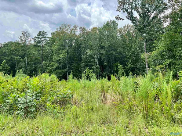 255 Shady Hollow Ln, Gadsden, AL 35905