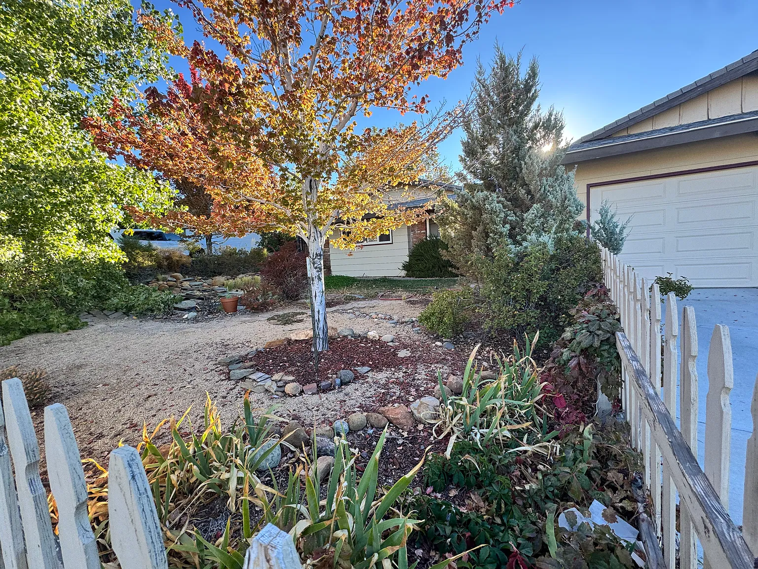 4 bed, 1504 sqft, $3,300 — Photo 3