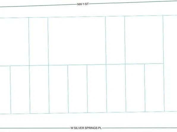 TBD W SILVER SPRINGS PLACE LOT 1, OCALA, FL 34475