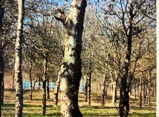 8301 Evelyn Rd, Buda, TX 78610