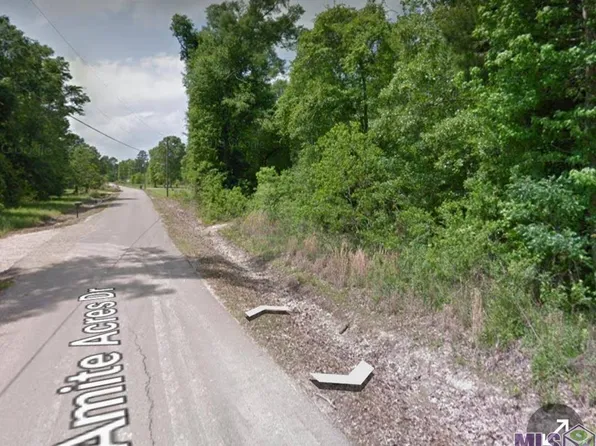 1 Amite Acres Dr, Springfield, LA 70462