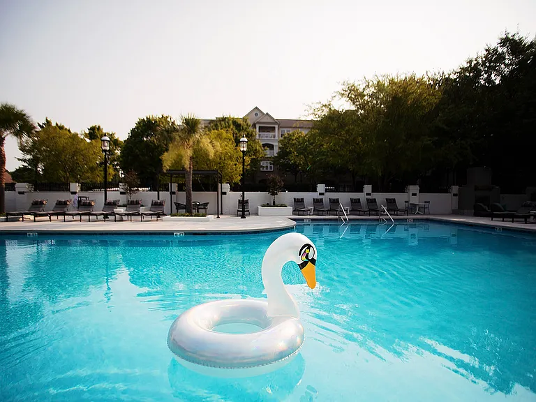 Haven at Birkdale Village Swimming Pool
