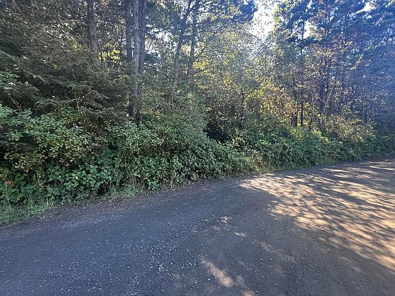 3rd image of Tl 1700 Sw Tillicum Dr
