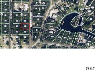 6532 N Pagoda Tree Ter, Hernando, FL 34442
