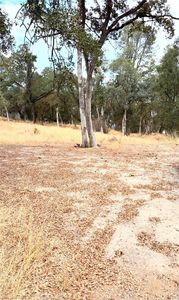 3885 Rosey Way, Placerville, CA, 95667