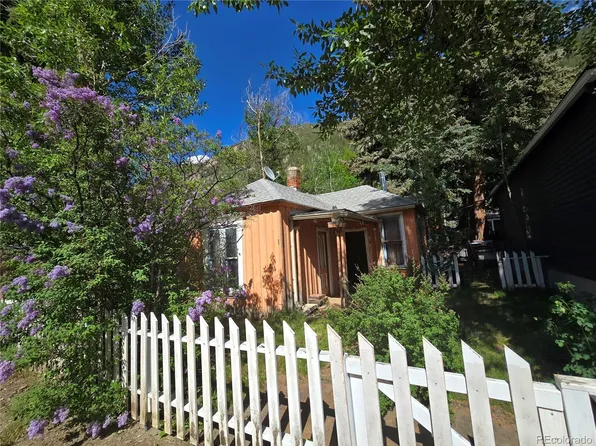 1010 Taos Street, Georgetown, CO 80444